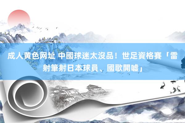 成人黄色网址 中國球迷太沒品！　世足資格賽「雷射筆射日本球員、國歌開噓」