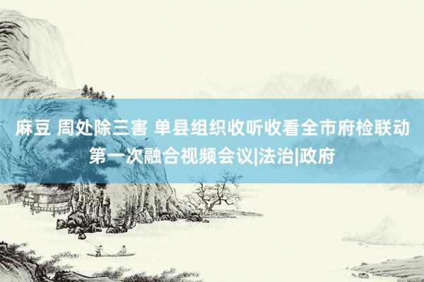 麻豆 周处除三害 单县组织收听收看全市府检联动第一次融合视频会议|法治|政府