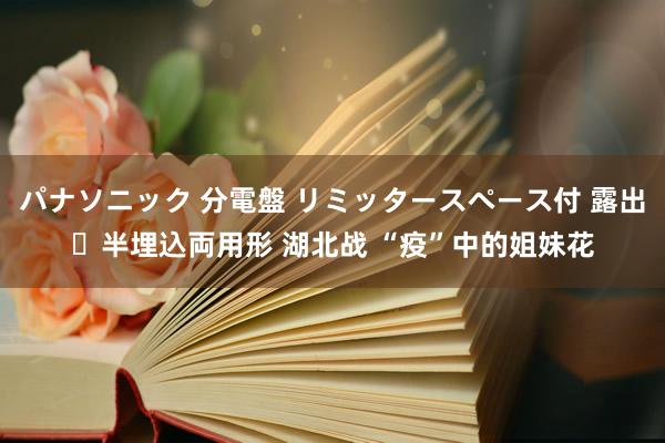 パナソニック 分電盤 リミッタースペース付 露出・半埋込両用形 湖北战 “疫”中的姐妹花