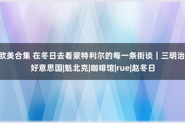 欧美合集 在冬日去看蒙特利尔的每一条街谈｜三明治|好意思国|魁北克|咖啡馆|rue|赵冬日