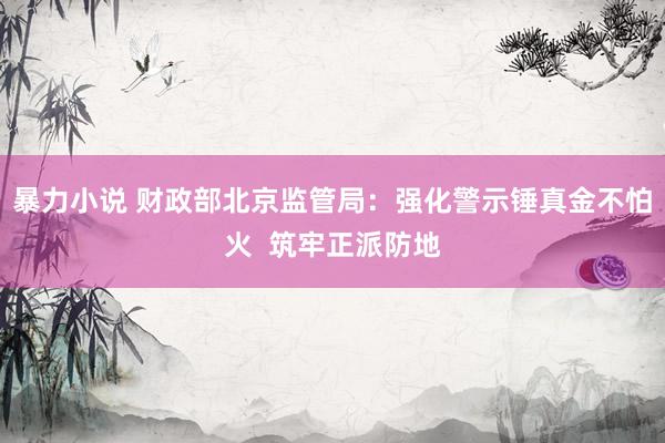 暴力小说 财政部北京监管局：强化警示锤真金不怕火  筑牢正派防地