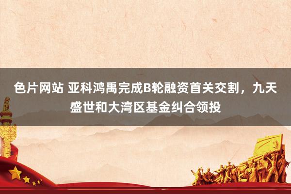 色片网站 亚科鸿禹完成B轮融资首关交割，九天盛世和大湾区基金纠合领投