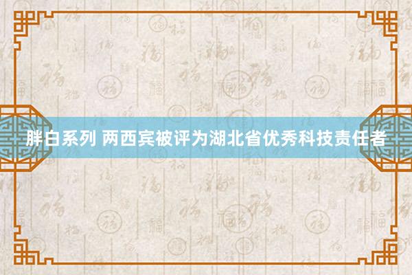 胖白系列 两西宾被评为湖北省优秀科技责任者