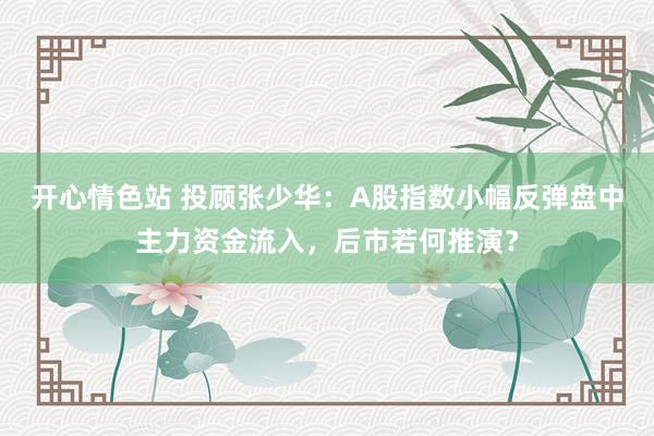 开心情色站 投顾张少华：A股指数小幅反弹盘中主力资金流入，后市若何推演？