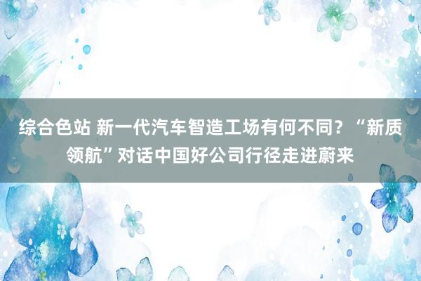 综合色站 新一代汽车智造工场有何不同？“新质领航”对话中国好公司行径走进蔚来